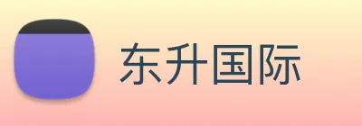东升国际 logo